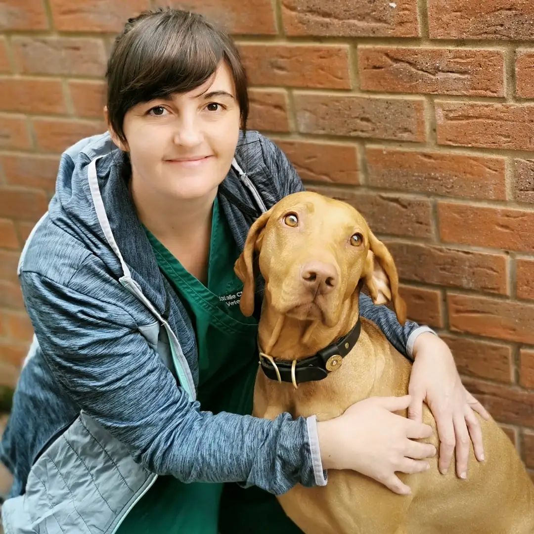 Natalie Mobile Vet Chesterfield Natalie Mobile Vet Chesterfield